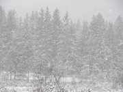 seefeld-e-neve-levico-27-gennaio-029