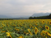francia-luglio-2014-249