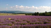 WP_20130711_005