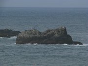 9-ottobre-costa-oregon-california-117