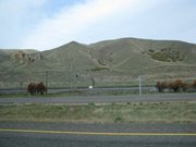 11-ottobre-buffalo-chicago-salt-lake-city-wyoming-092