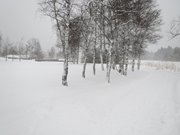 seefeld-e-neve-levico-27-gennaio-028