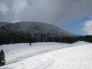 cambroncoi-e-neve-21-gennaio-012