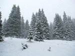 15-maggio-2011-neve-a-quota-1750.jpg