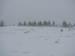 15-maggio-2011-vento-e-neve.jpg