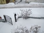 neve-24-febbraio-019.jpg