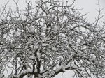 neve-20-gennaio-019.jpg