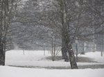 neve-28-gennaio-016.jpg