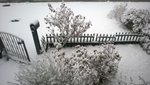 WP_20160103_007.jpg