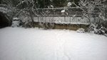 WP_20160103_008.jpg