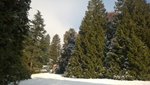 WP_20160103_013.jpg