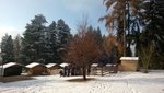 WP_20160103_016.jpg
