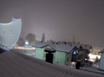 neve-03_01_16.png