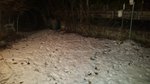 neve-al-suolo-levico-29-gennaio-bis.jpg