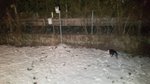 neve-al-suolo-levico-29-gennaio.jpg