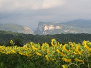 francia-luglio-2014-253