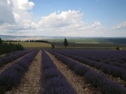 cannes-mont-ventoux-sault-156