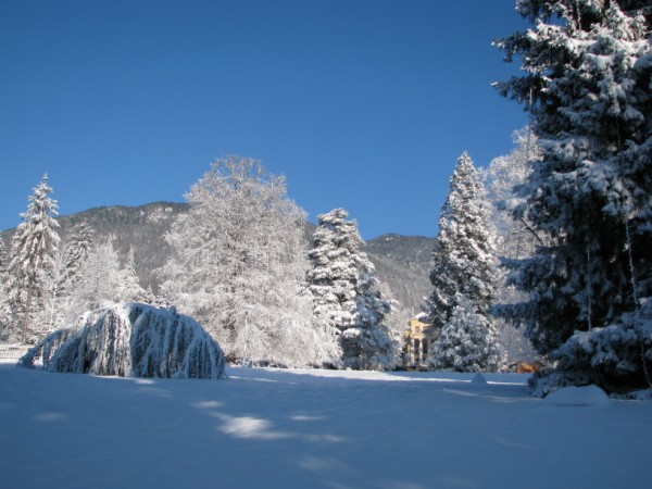 parco dopo la nevicata di Natale del 2009