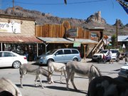 IMG_5980