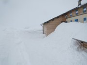 pale-di-san-martino-045
