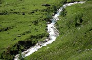 IMG_2122