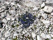 pale-di-san-martino-8-9-settembre-056