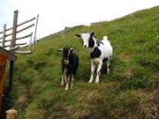 passo-pordoi-025