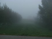 301010nebbia