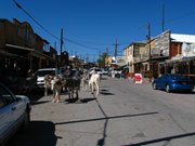 IMG_6003