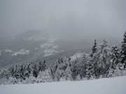 261210nevepanarotta