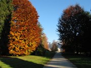 Parco-20di-20Levico-20autunno-202007-204