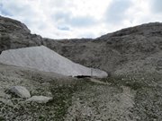 Pale-di-San-Martino-12-agosto-2013-109