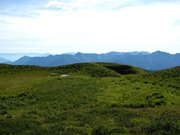 IMG_0613
