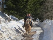 pale-e-aldino-8-9-marzo-2014-055