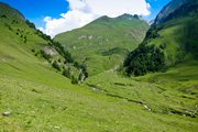 IMG_2115