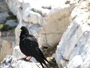 IMG_9224