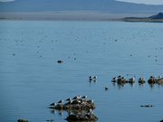 13-ottobre-mono-lake-yosemite-016