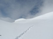 pale-di-san-martino-027