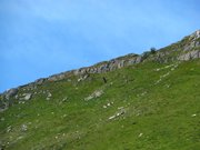 IMG_0635