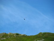 IMG_0639