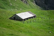 IMG_2166