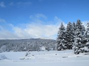 Francia-3-5-gennaio-2014-192