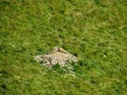 IMG_0607