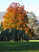 Parco-di-Levico-autunno-2007-5