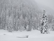 campiglio-rifugio-nambino-198