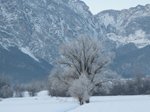 galaverna-e-neve-26-27-feb-020.jpg