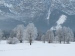 galaverna-e-neve-26-27-feb-022.jpg