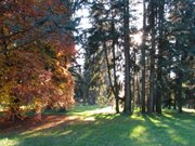 Parco-di-Levico-autunno-2007-3