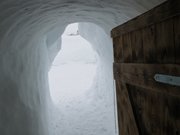 igloo-ed-innsbruck-109