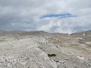 Pale-di-San-Martino-12-agosto-2013-129